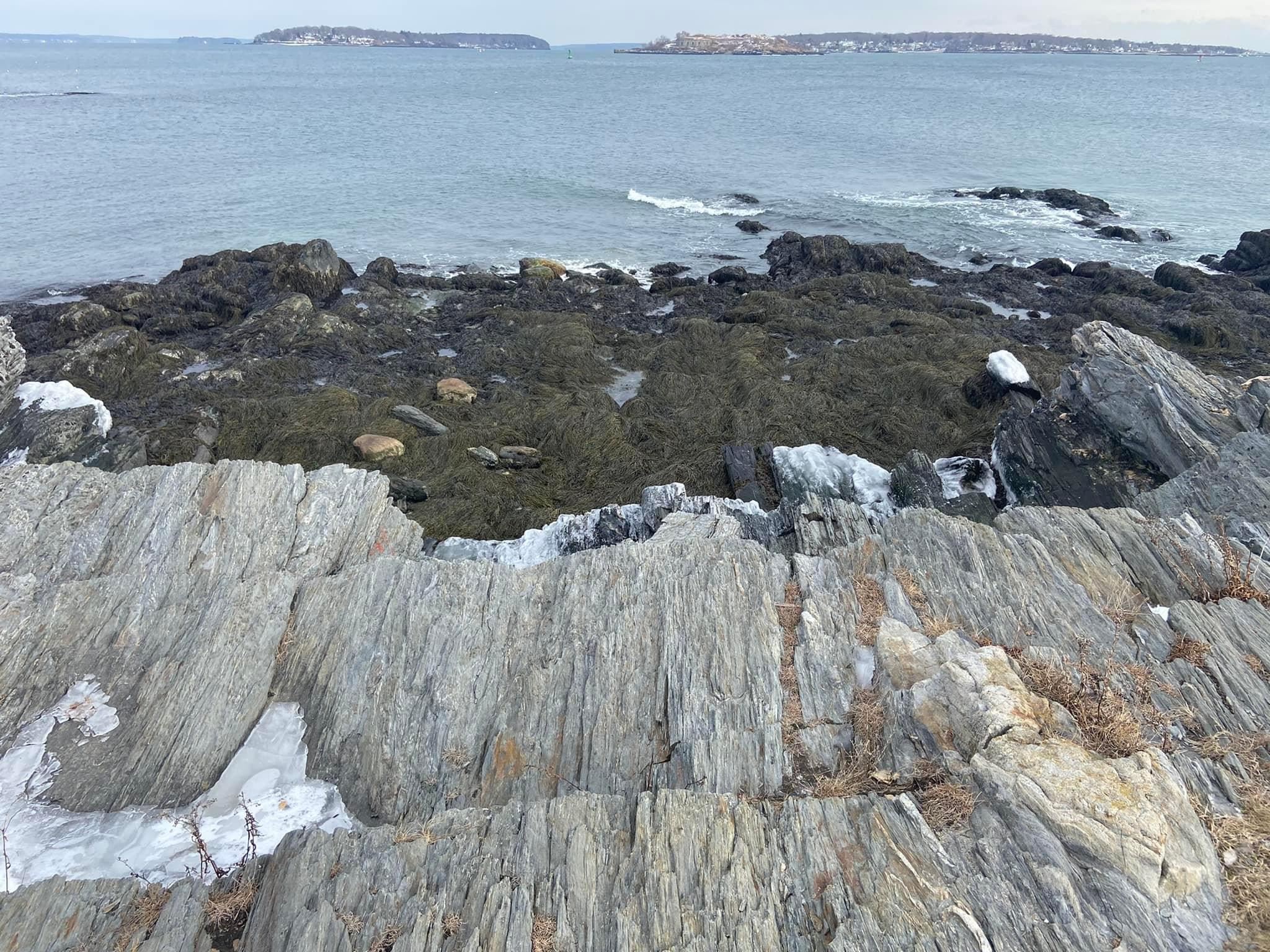 Fishermans Point- Rocks